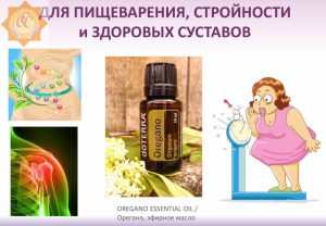 Как организовать правильное питание?