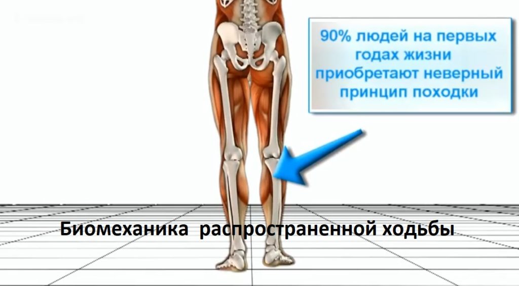 Заставка к видео Биомеханика распространенной ходьбы